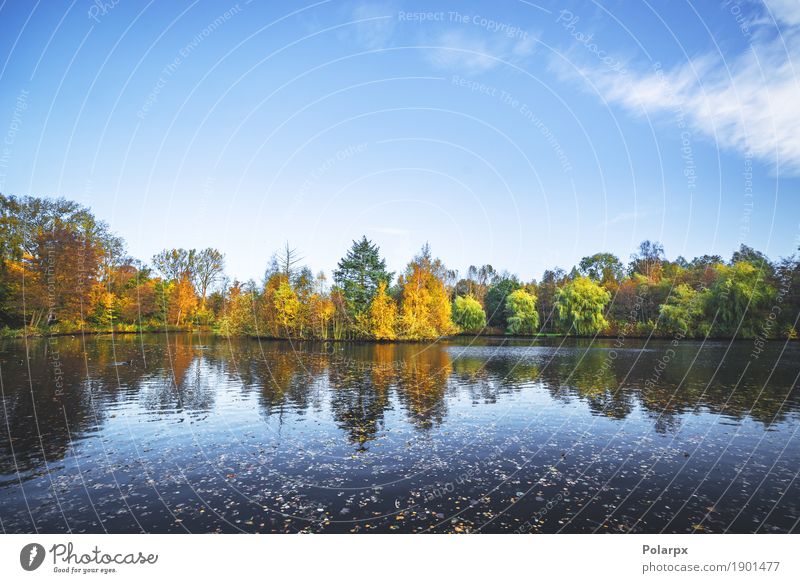 Herbstlandschaft mit einem See und Bäumen schön Ferien & Urlaub & Reisen Umwelt Natur Landschaft Himmel Baum Blatt Park Wald Teich Fluss hell braun gelb gold