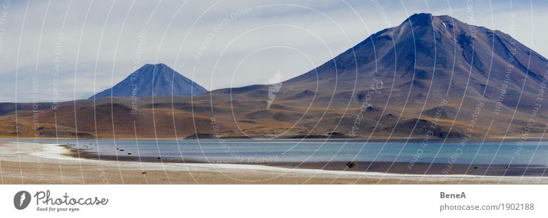 Panorama mit Lagune und Vulkan in der Atacama-Wüste Natur Abenteuer Endzeitstimmung erleben exotisch Horizont Ferien & Urlaub & Reisen Umwelt Umweltschutz Ferne