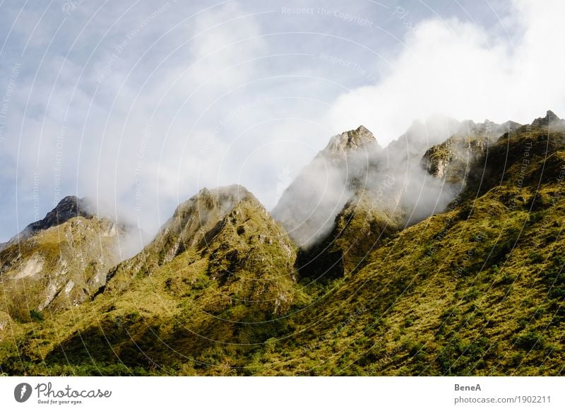 Gipfel von grün bewachsenen Bergen in den Anden zwischen Wolken Abenteuer Expedition Berge u. Gebirge wandern Klettern Bergsteigen Umwelt Natur Landschaft