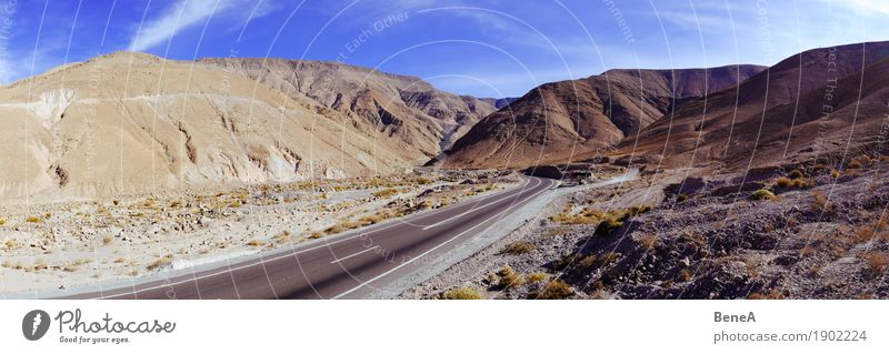 Paßstraße durch die Landschaft der Atacama-Wüste Ferien & Urlaub & Reisen Abenteuer Ferne Expedition Natur Wolkenloser Himmel Schönes Wetter Dürre Hügel Felsen