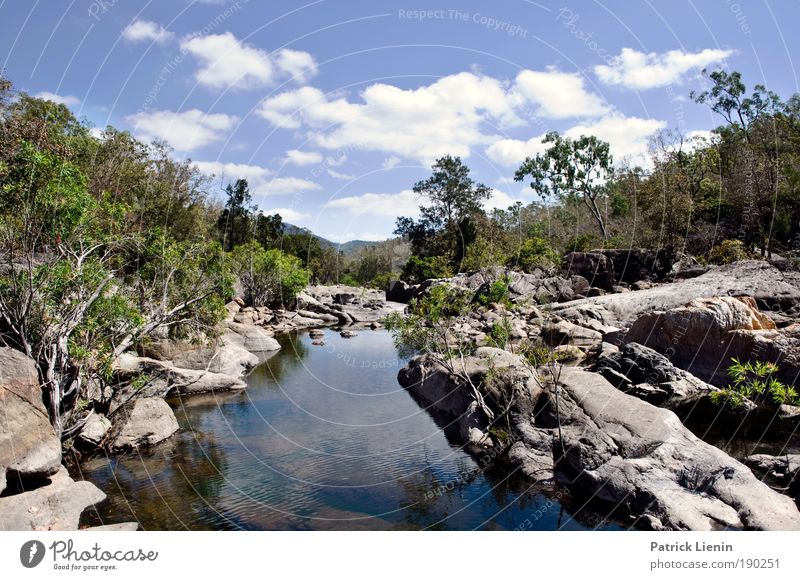 Alligator Creek Umwelt Natur Landschaft Pflanze Luft Wasser Himmel Wolken Sommer Bach Ferien & Urlaub & Reisen Felsen schön Australien Eukalyptusbaum Einsamkeit