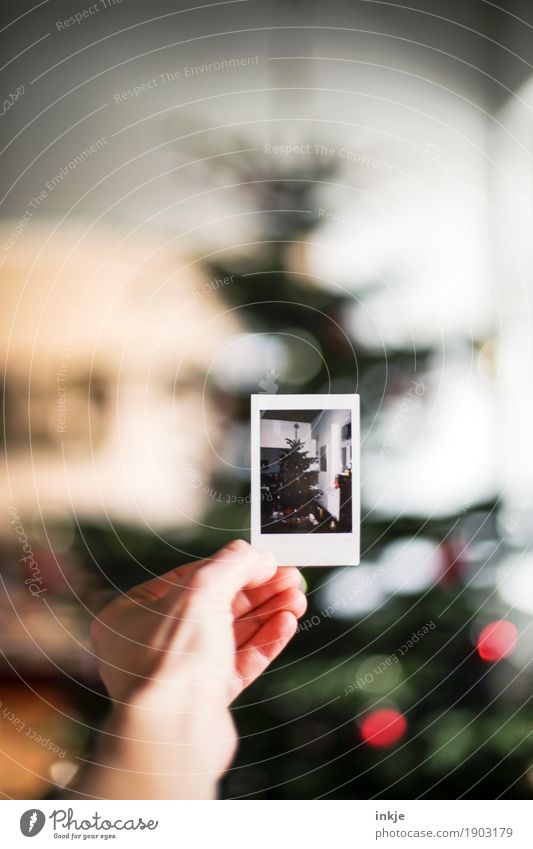 in memoriam Weihnachten & Advent Hand Polaroid Bild-im-Bild Weihnachtsbaum Weihnachtsdekoration festhalten Gefühle Stimmung Vorfreude Nostalgie Erinnerung