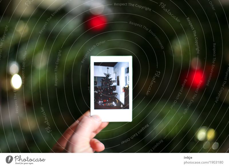 nur noch mal zur Erinnerung. Häusliches Leben Weihnachten & Advent Hand Weihnachtsbaum Polaroid Bild-im-Bild Fotografie festhalten Vorfreude Tradition zeigen