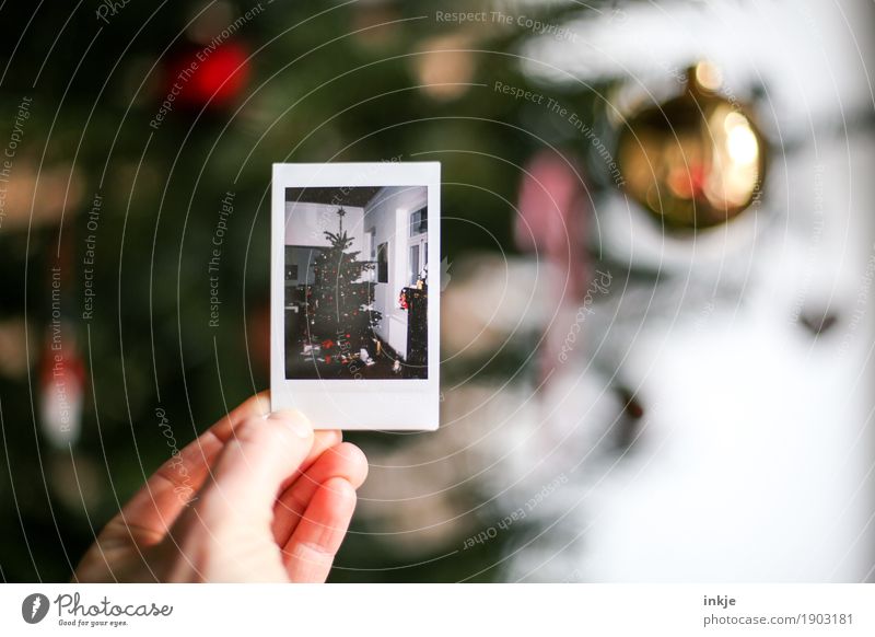 Damals. Zu Weihnachten. Lifestyle Häusliches Leben Weihnachten & Advent Hand Weihnachtsdekoration Weihnachtsbaum Polaroid Bild-im-Bild festhalten gleich