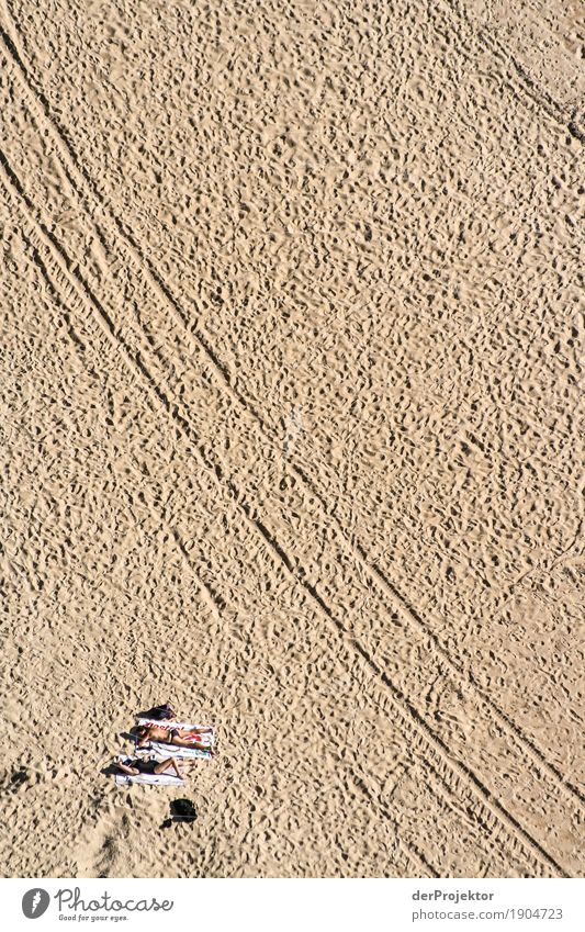Spuren und Ablage am Strand in Portugal IV Blick Zentralperspektive Starke Tiefenschärfe Reflexion & Spiegelung Silhouette Kontrast Schatten Licht Tag
