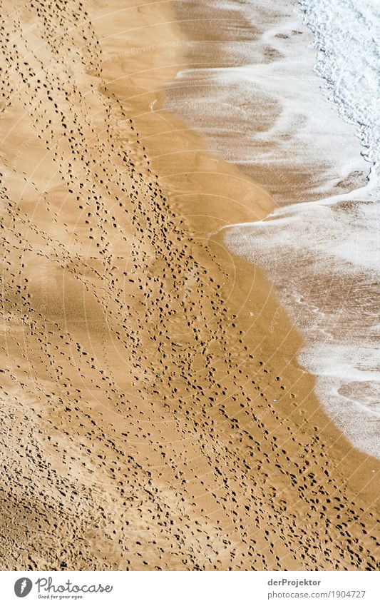 Spuren am Strand in Portugal Blick Zentralperspektive Starke Tiefenschärfe Reflexion & Spiegelung Silhouette Kontrast Schatten Licht Tag Textfreiraum unten