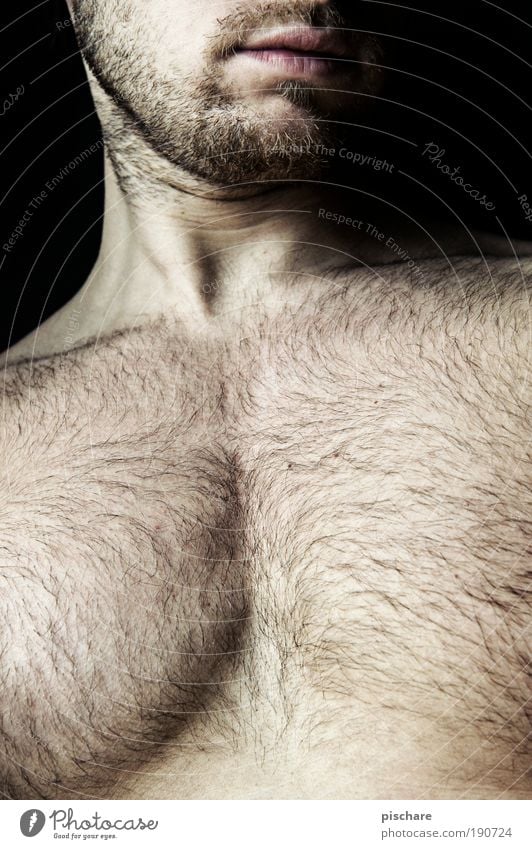 wtf is metrosexuell?! schön Körper Haare & Frisuren Mensch maskulin Mann Erwachsene Bart Brust 1 30-45 Jahre Dreitagebart Behaarung Brustbehaarung eckig Erotik