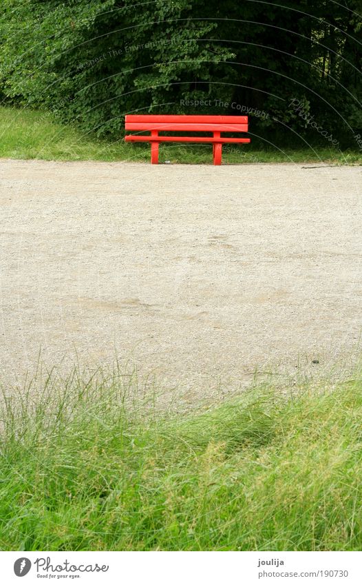 rote Bank im Park Garten Natur Landschaft Erde Frühling Sommer Baum Gras hell Erholung bech einsam Einsamkeit Isolation Weg Farbfoto mehrfarbig Außenaufnahme