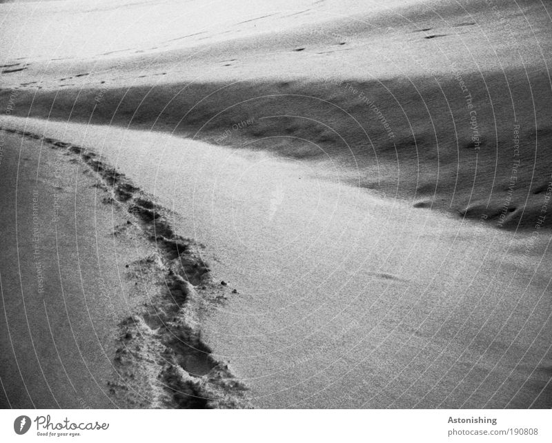 keine Spur... vom Sommer Umwelt Natur Landschaft Winter Wetter schlechtes Wetter Eis Frost Schnee Hügel fallen wandern dunkel hell kalt grau schwarz weiß Spuren