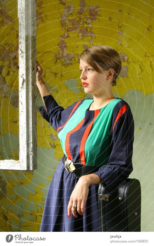 vermeer's girl Lifestyle elegant Stil Design schön Mensch feminin Junge Frau Jugendliche Erwachsene 1 18-30 Jahre Gitarre Haus Fenster Mode Bekleidung Kleid alt