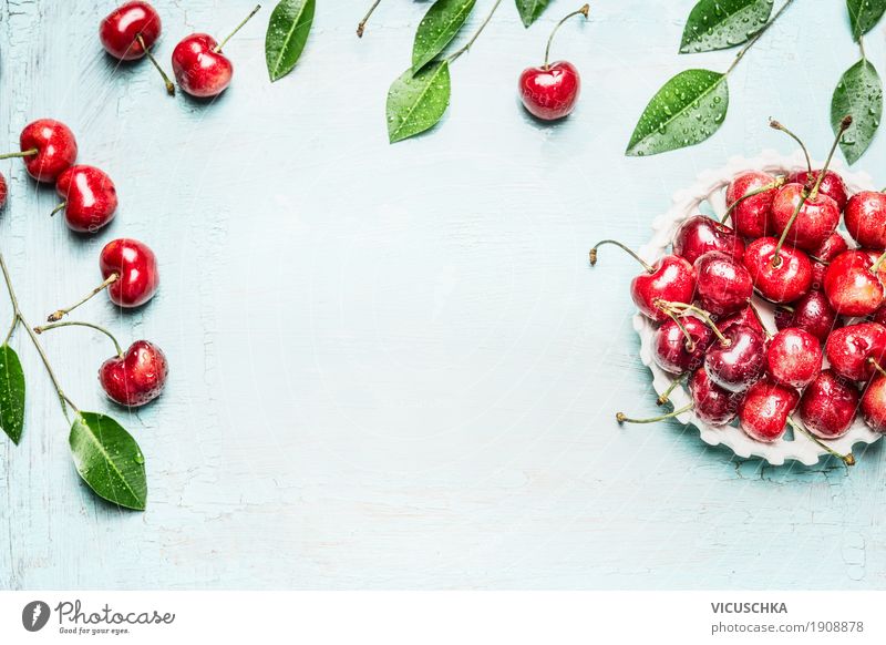 Kirschen in der Schüssel mit Zweigen und Blättern Lebensmittel Frucht Ernährung Bioprodukte Lifestyle Stil Design Gesundheit Gesunde Ernährung Sommer Tisch