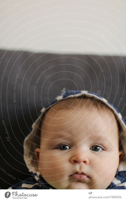 weiches Aussehen Lifestyle Freude Mensch Baby Kleinkind Kindheit Kopf Gesicht 0-12 Monate beobachten Gefühle Gelassenheit Wachstum eingehender Blick unschuldig
