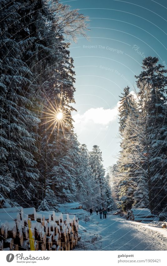 Winteranfang Lifestyle Gesundheit Wellness Leben Ferien & Urlaub & Reisen Tourismus Ausflug Schnee Winterurlaub Berge u. Gebirge wandern Umwelt Natur Landschaft