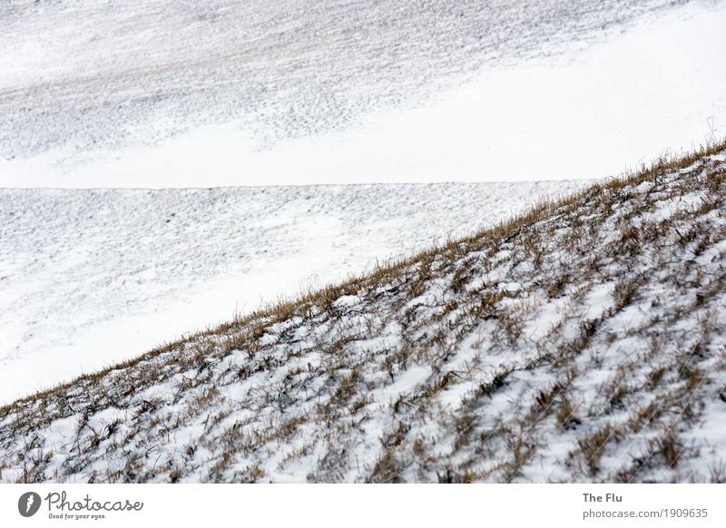 Natürliche Geometrie Winter Schnee Winterurlaub Berge u. Gebirge wandern Eis Frost Schneefall Hügel Alpen Südtirol Ahrntal Italien Wege & Pfade ästhetisch