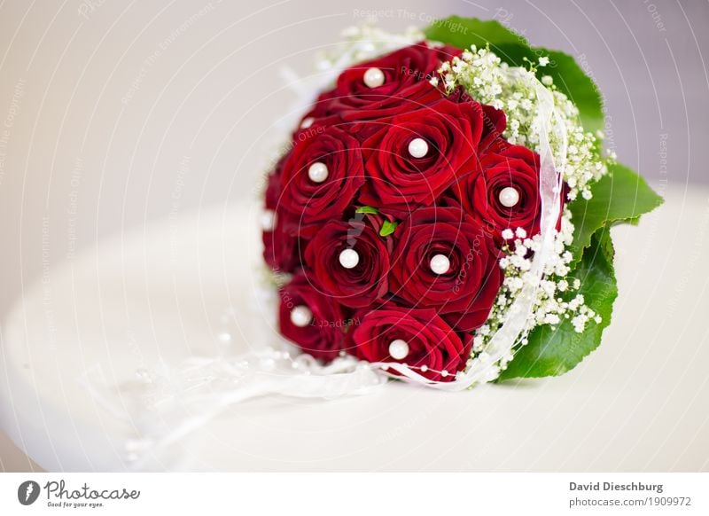 Brautstrauß Feste & Feiern Hochzeit Blume Zeichen grün rot weiß Liebe Verliebtheit Treue Romantik Blumenstrauß Hochzeitstag (Jahrestag) Rose perlen
