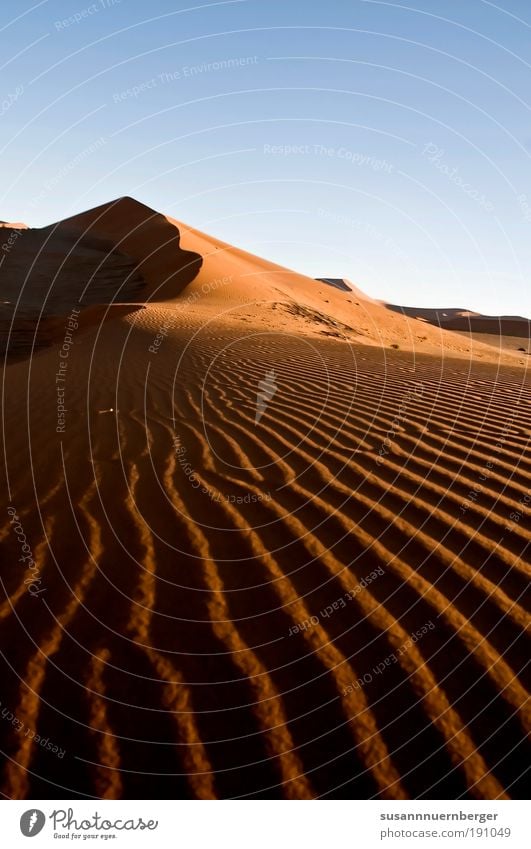 red sand Umwelt Natur Landschaft Pflanze Urelemente Sand Luft Himmel Wolkenloser Himmel Sommer Wüste Namib alt exotisch frei Wärme blau gelb gold rot Einigkeit