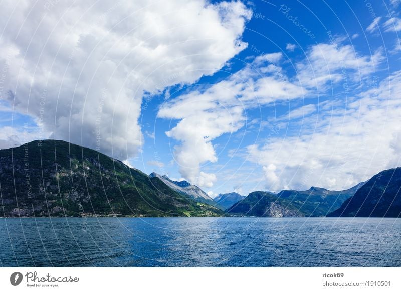 Blick auf den Storfjord in Norwegen Erholung Ferien & Urlaub & Reisen Tourismus Berge u. Gebirge Natur Landschaft Wasser Wolken Fjord Idylle Norddal