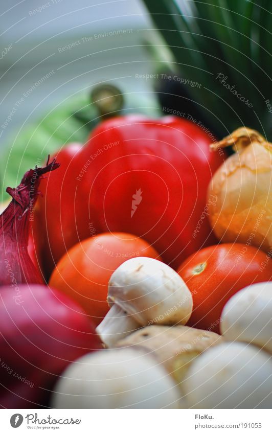 Das beste vom Bauern Lebensmittel Gemüse Ernährung Abendessen Festessen Bioprodukte Vegetarische Ernährung Diät Fasten grün rot weiß Gesundheit Paprika Tomate