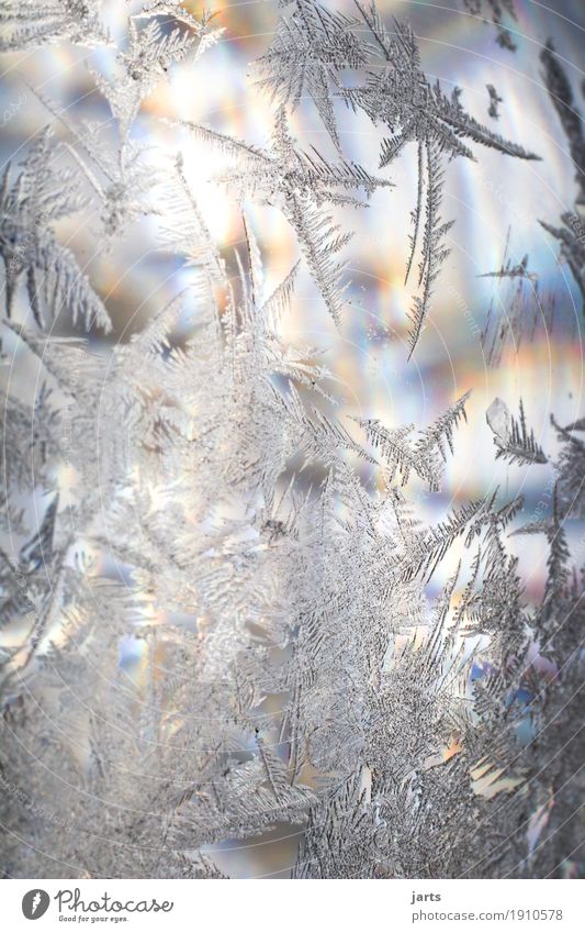 eisblumenmitregenbogenfarben Sonnenlicht Winter Schönes Wetter Eis Frost Glas leuchten kalt positiv Eisblumen Eiskristall Glaskugel Regenbogen Farbfoto