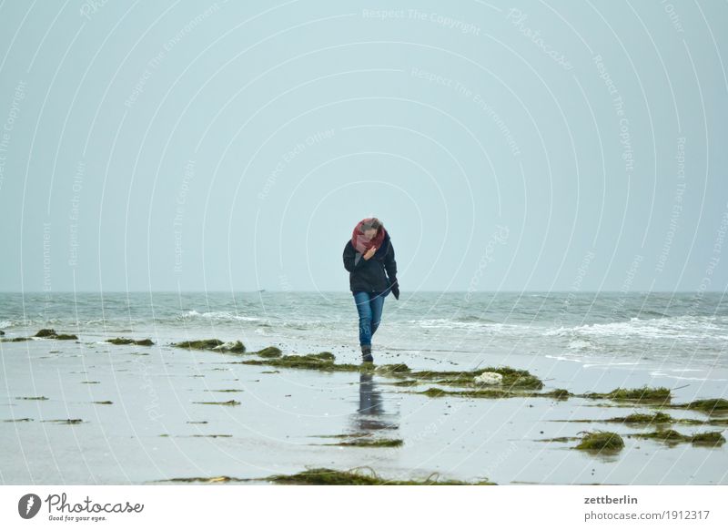 Endhaken/Südperd Erholung Ferien & Urlaub & Reisen Frau Mensch Spaziergang Einsamkeit einzeln Wind Sturm Wellen Ferne Horizont Herbst Himmel Insel Küste