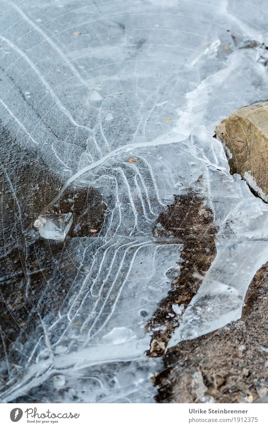 Zugefroren Umwelt Natur Wasser Winter schlechtes Wetter Eis Frost Seeufer Teich frieren glänzend dünn kalt nass natürlich Spitze Bewegung bedrohlich Netzwerk