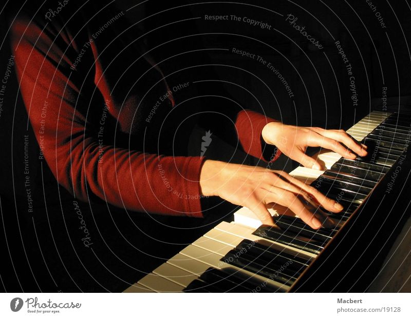 Klavierspielen Hand Frau Musik berühren Tischstativ Sonne