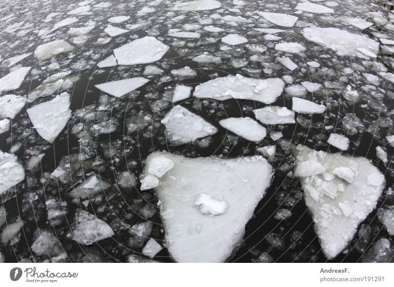 arktisches Berlin Winter Umwelt Natur Landschaft Wasser Klima Klimawandel Schnee Fluss kalt Eis Eisscholle Spree Frost Fischauge Im Wasser treiben Eisbrecher