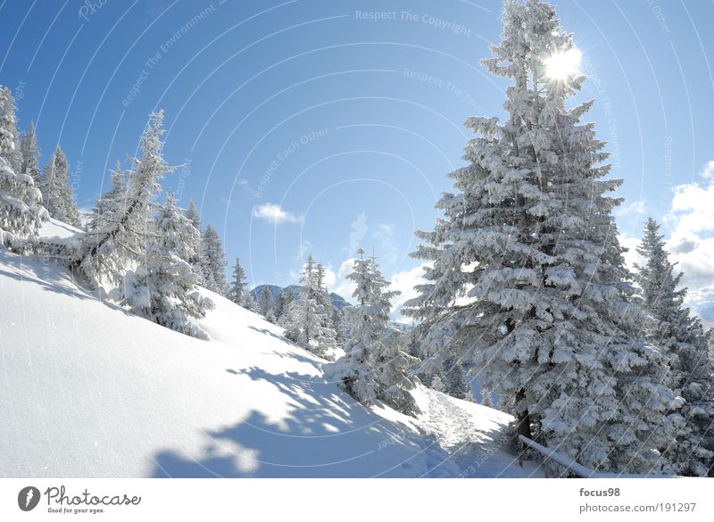 Wintermärchen Umwelt Natur Landschaft Himmel Wolken Sonne Schönes Wetter Schnee Baum Wald Alpen Berge u. Gebirge Schneebedeckte Gipfel Einsamkeit Erholung