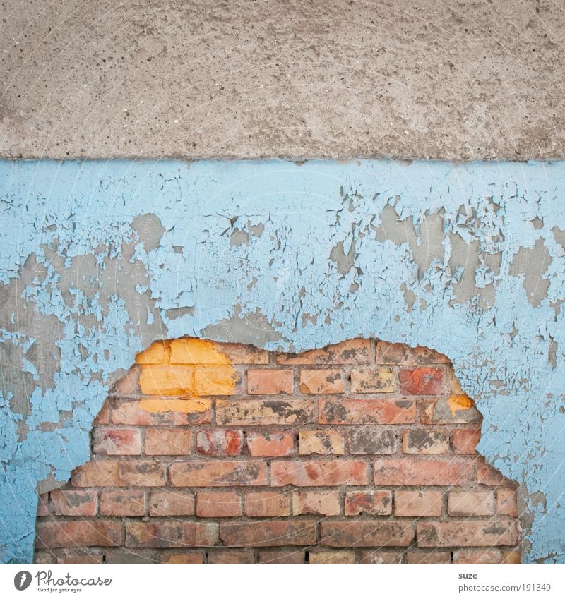 Froschkönig Mauer Wand Fassade alt dreckig kaputt blau grau Verfall Vergänglichkeit verfallen Backstein Phantasie Putz Backsteinwand Putzfassade vielschichtig