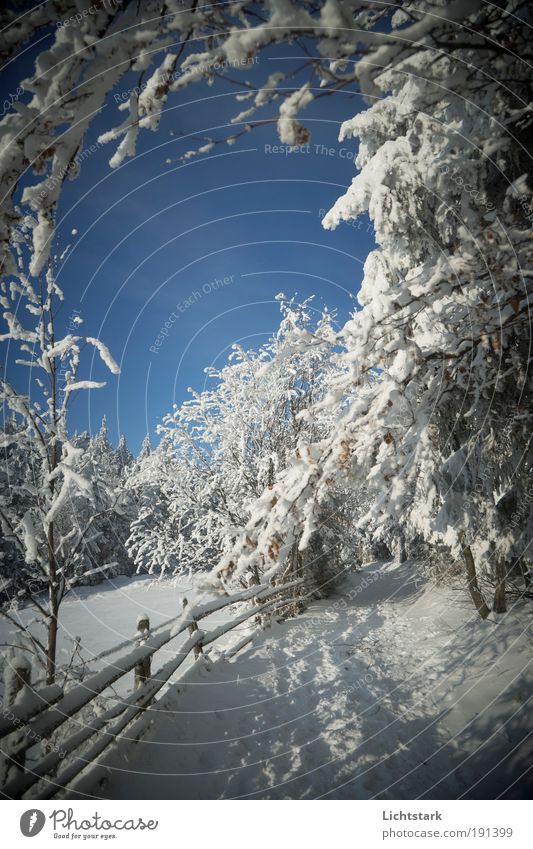 Alice Ferien & Urlaub & Reisen Tourismus Ausflug Freiheit Winter Schnee Winterurlaub Berge u. Gebirge wandern Klettern Bergsteigen Skier Wetter Schönes Wetter