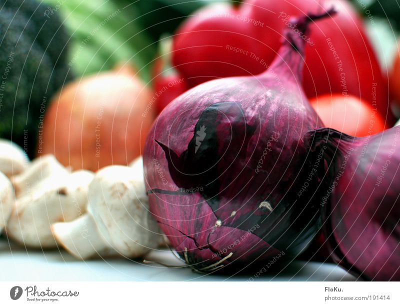 Das beste vom Bauern II Lebensmittel Gemüse Ernährung Bioprodukte Vegetarische Ernährung Diät grün violett rot weiß Gesundheit Zwiebel Paprika Champignons
