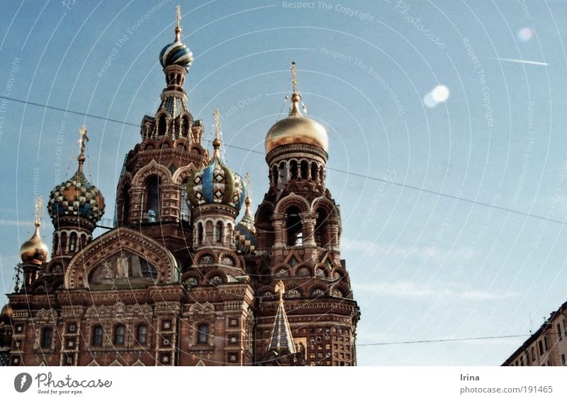 Build on blood Tourismus Sightseeing Städtereise Reisefotografie Architektur Kultur St. Petersburg Russland Russisch Kirche Kathedrale Sehenswürdigkeit