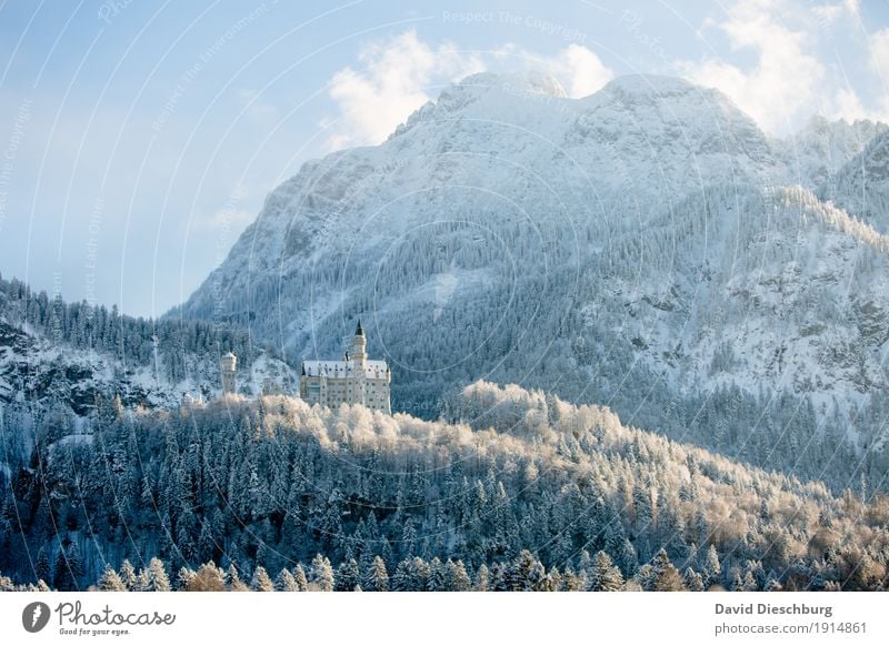 Schloss Neuschwanstein Ferien & Urlaub & Reisen Tourismus Abenteuer Sightseeing Winter Schnee Winterurlaub Berge u. Gebirge Natur Landschaft Himmel Wolken