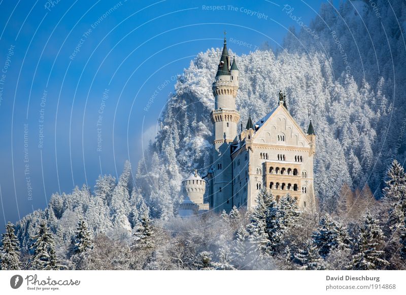 Schloss Neuschwanstein Ferien & Urlaub & Reisen Tourismus Ausflug Sightseeing Winter Schnee Winterurlaub Berge u. Gebirge wandern Landschaft Schönes Wetter Eis