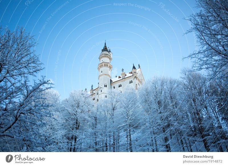 Schloss Neuschwanstein Ferien & Urlaub & Reisen Tourismus Ausflug Sightseeing Winter Schnee Winterurlaub Natur Landschaft Wolkenloser Himmel Schönes Wetter Eis