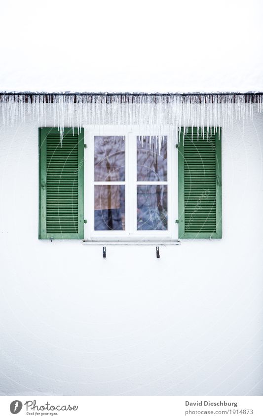 Eiszeit Ferien & Urlaub & Reisen Abenteuer Winter Winterurlaub Schönes Wetter Frost Haus Fassade Fenster Dach Dachrinne grün weiß Eiszapfen kalt gefroren