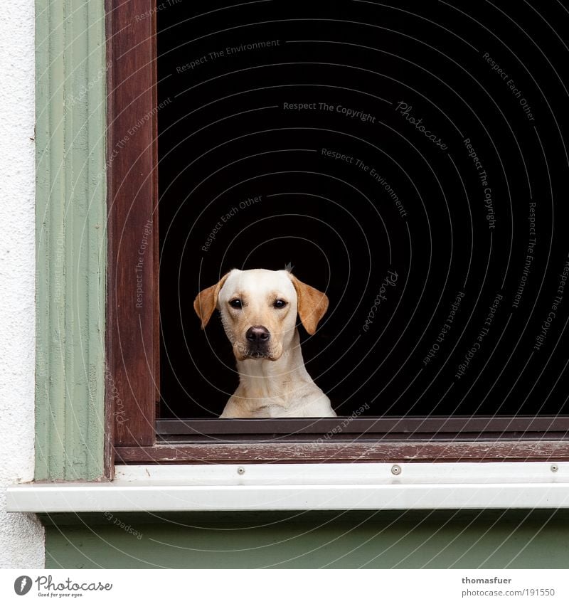 Hypnose Wohnung Fenster - ein lizenzfreies Stock Foto von Photocase