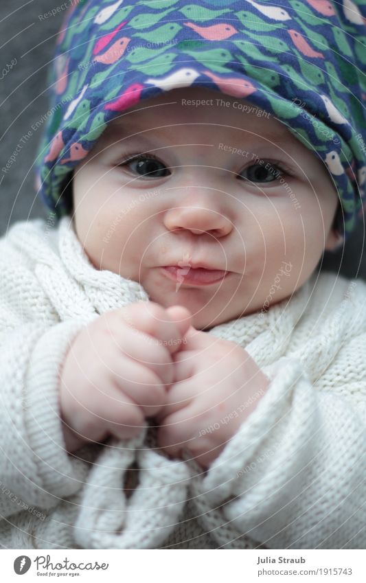 Süßes kleinkind mit mütze feminin Baby Kindheit 1 Mensch 0-12 Monate Strickjacke Kopftuch liegen Blick niedlich blau grün Vorfreude Hoffnung rein Lächeln Faust