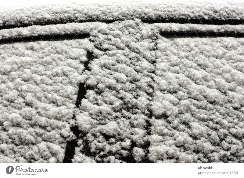 T Winter Klima Wetter schlechtes Wetter Eis Frost Schnee Fenster Tür Verkehr Personenverkehr Straßenverkehr Autofahren Fahrzeug PKW kalt schwarz weiß