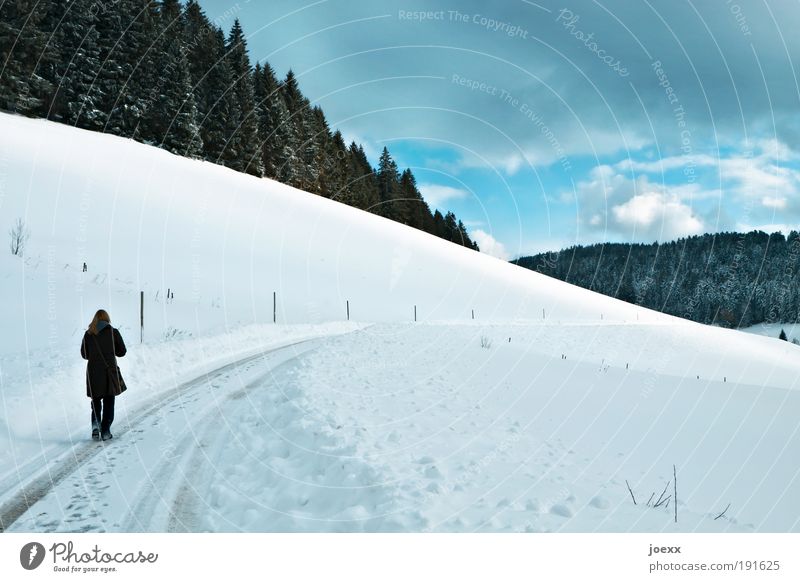 Nachdenken Winter Schnee Winterurlaub 1 Mensch Landschaft Luft Wolken Schönes Wetter Eis Frost Wald Hügel Denken frieren gehen blau weiß ruhig Einsamkeit
