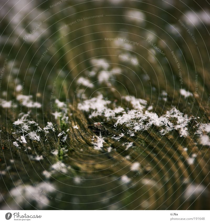 ein Bild mit Schnee oder die vergängliche Invasion Umwelt Natur Urelemente Wasser Winter Klima Holz frieren liegen eckig Flüssigkeit einzigartig nass schön