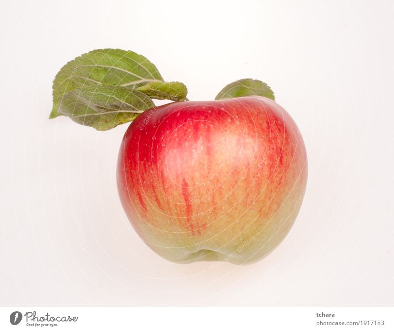 Reifer Apfel Frucht Dessert Ernährung Vegetarische Ernährung Diät Natur Blatt frisch lecker natürlich saftig grün rot weiß vereinzelt Hintergrund Lebensmittel