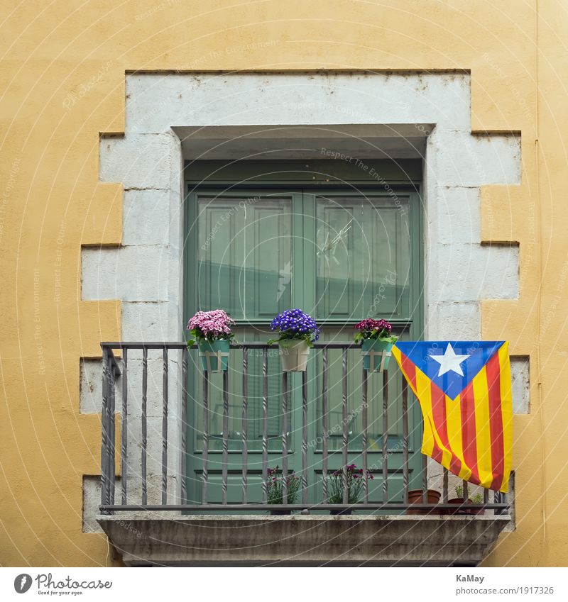 Viva Catalonia Haus Girona Spanien Altstadt Bauwerk Gebäude Architektur Fassade Fenster Stein Fahne alt historisch gelb grün weiß Mut trotzig Entschlossenheit