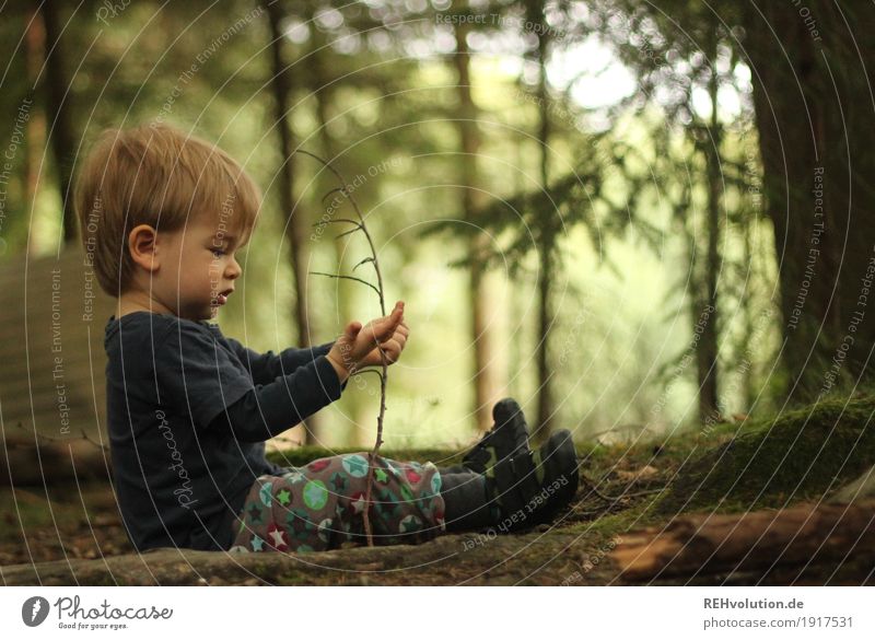 1000 | erstmal hinsetzen und in Ruhe angucken Mensch maskulin Kind Kleinkind Junge Kindheit 1-3 Jahre Umwelt Natur Landschaft Sommer Pflanze Baum Moos Wald