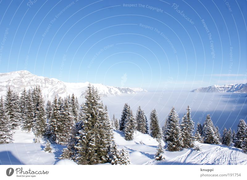 Spuren im Schnee Erholung ruhig Ausflug Winter Winterurlaub Berge u. Gebirge wandern Umwelt Natur Landschaft Wolkenloser Himmel Sonne Schönes Wetter Nebel Eis