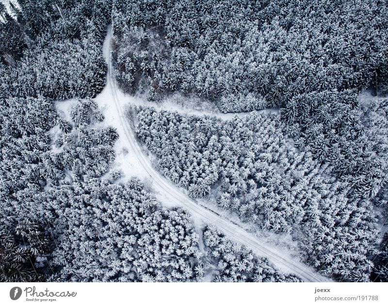 Einschneidend Natur Landschaft Winter Eis Frost Schnee Wald Straße Wege & Pfade beobachten träumen hoch oben unten blau schwarz weiß Vogelperspektive Winterwald