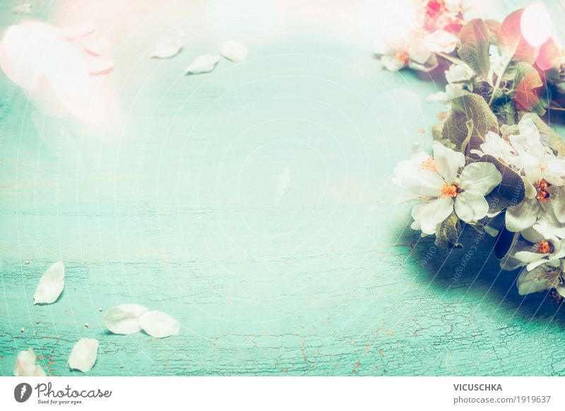 Hübsche Frühlingsblüten auf türkisblauen Hintergrund Stil Design Garten Dekoration & Verzierung Natur Pflanze Blume Blatt Blüte Blumenstrauß Blühend rosa Duft