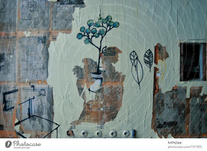 liebesgrüße aus moskau Häusliches Leben Wohnung Haus Renovieren einrichten Innenarchitektur Medienbranche Energiewirtschaft Kunst Künstler Maler Pflanze Baum