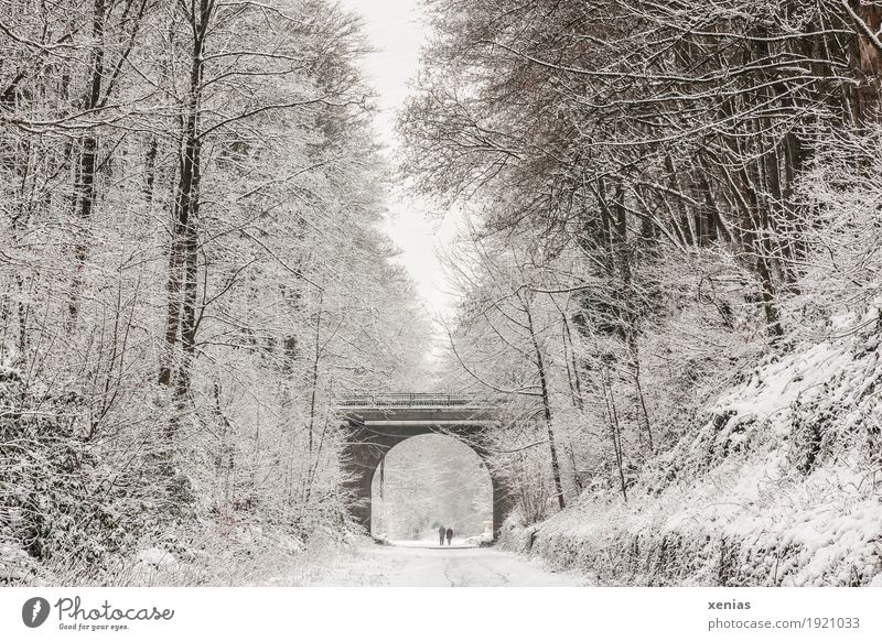 Fahrradweg auf alter Bahntrasse im Winter wandern 2 Mensch Schnee Baum Wald Tente Balkantrasse Bergisches Land Mauer Wand Fußgänger Wege & Pfade Brücke braun