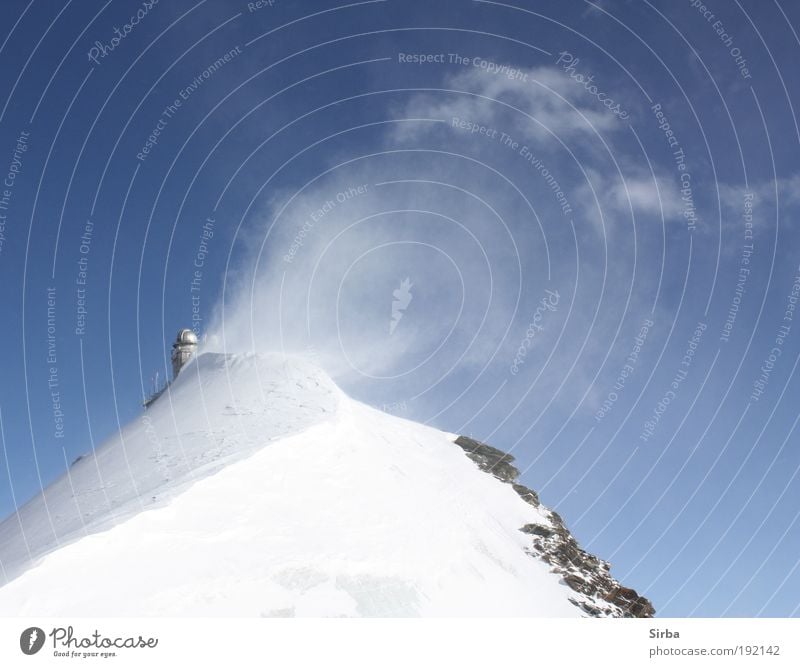 Schneegebläse Umwelt Winter Schönes Wetter Alpen Berge u. Gebirge Gipfel Schneebedeckte Gipfel frieren glänzend leuchten Ferien & Urlaub & Reisen groß blau weiß